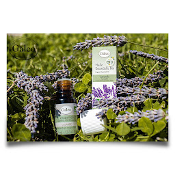 Photo n°21 de CK Jardin & Maison à Wissembourg (Service d'e-commerce)