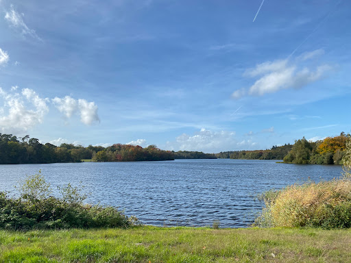 Car Park - Virginia Water