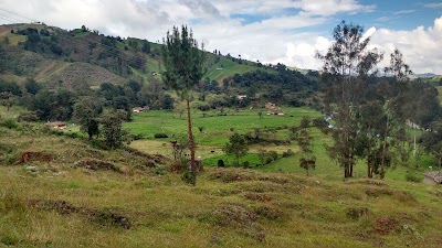 Photos of Fonda La Bodega