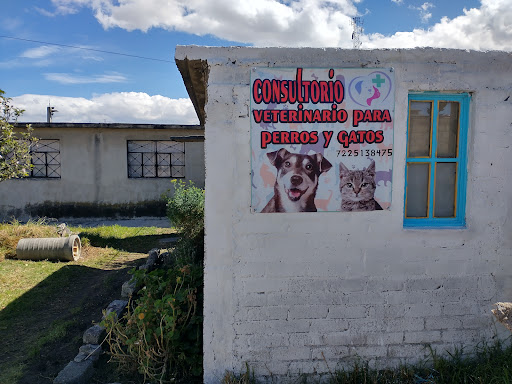 veterinaria Ernesto gh - Thumbnail