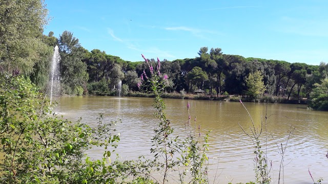 Regional Reserve Pineta Dannunziana