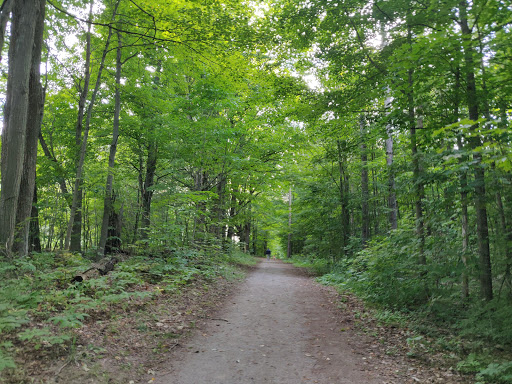 Hall Tract