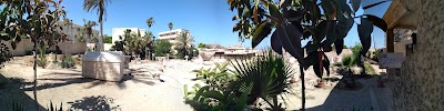 Photos of متحف المقابر الرومانية اليونانية - Necropolis of Anfushi