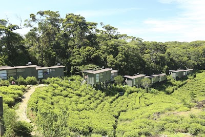 Photos of The Rainforest Ecolodge - Sinharaja