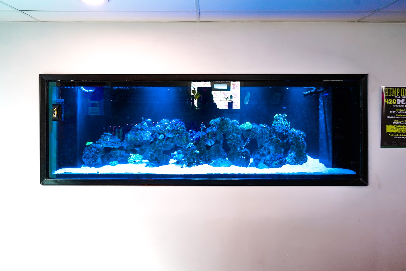 Hemp House THC Dispensary and Delivery I Richfield photo 5