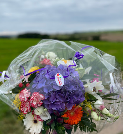 Blumen Green Day - Thumbnail