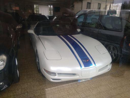 Minardi Fulvio - Visual