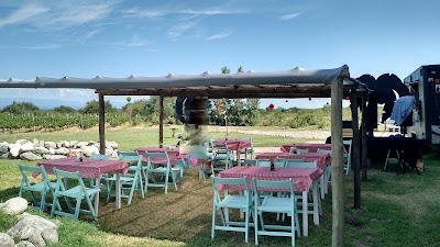 Photos of Bodega Vi&ntilde;as Puntanas
