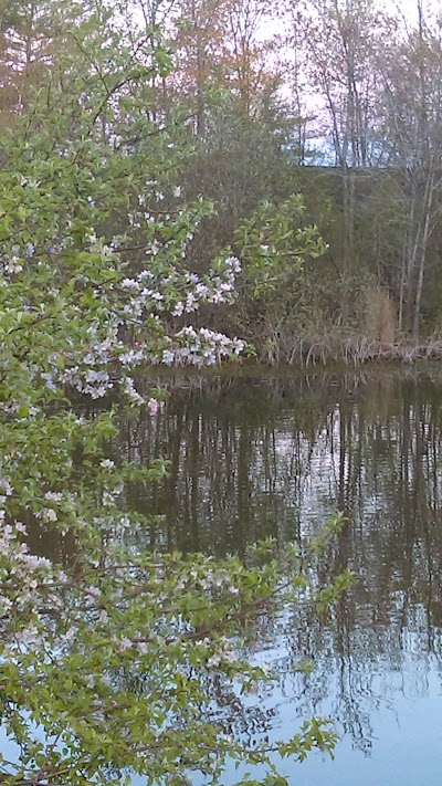 Photos of Camp Henry