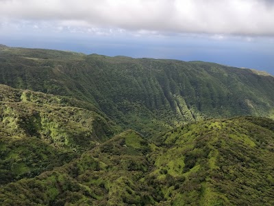 Molokaʻi Forest Reserve