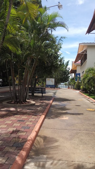Photos of International School of Tegucigalpa