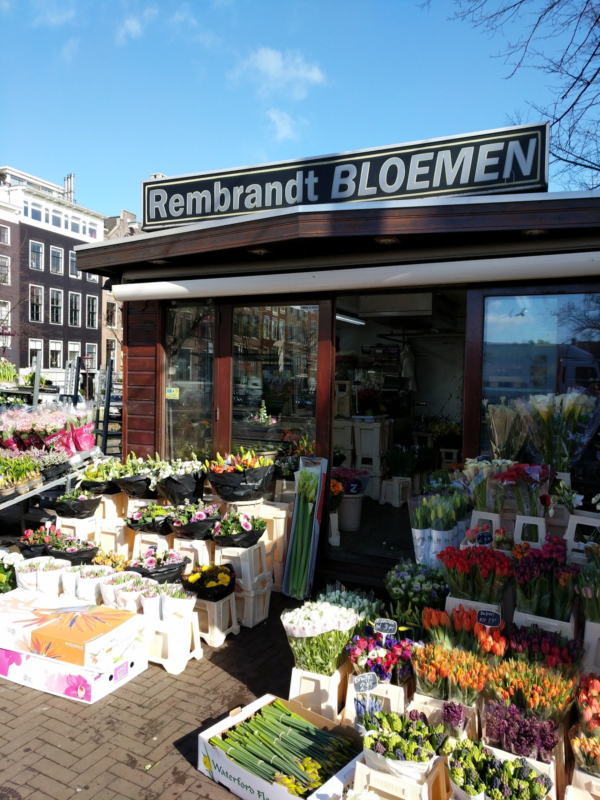 vriendelijke groet Onderdrukken Klein Tripify - Rembrandt Bloemen, Amsterdam