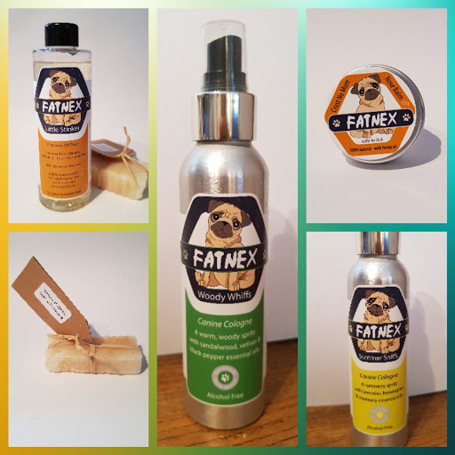 Fatnex Store - Visual