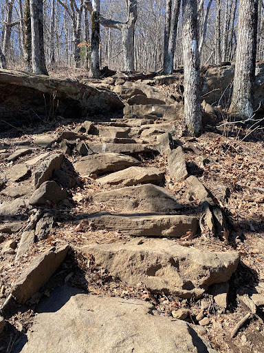 Brandenburg Steps - Visual