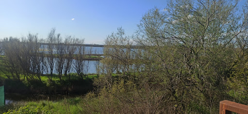 Casa "Nel Delta del Po" - Thumbnail