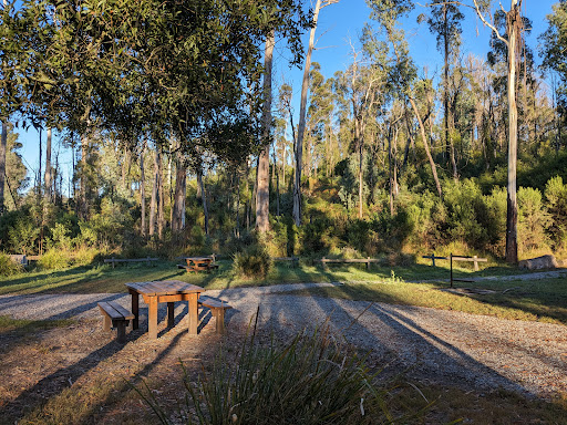 Goongerah Campground - Thumbnail