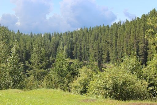 Chrystina Lake campground - Thumbnail