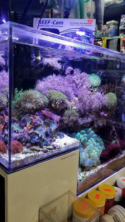 Pacific Aquarium & Plant