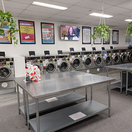 LAUNDRY4655 - Thumbnail