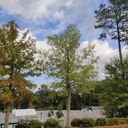 TMH Parking Lot C
