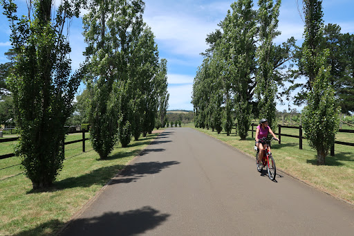 Australian Cycle Tours - Thumbnail