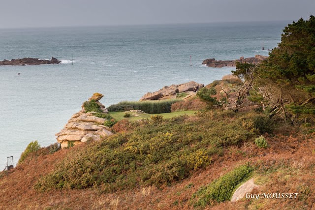 Plage de Trégastel