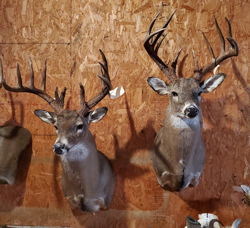 Bar S Taxidermy & Deer Processing. Call ahead for after hours. - Thumbnail