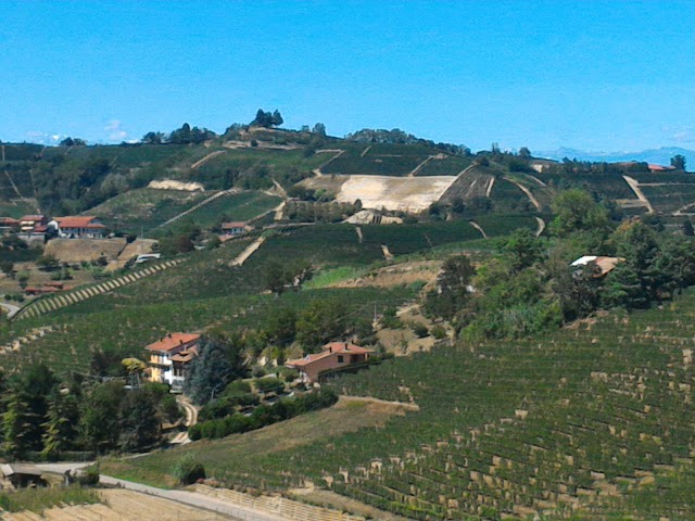 Agriturismo Cascina Vrona