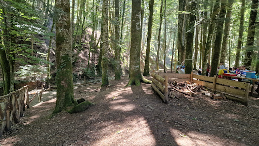 Area Picnic Collemeluccio - Thumbnail