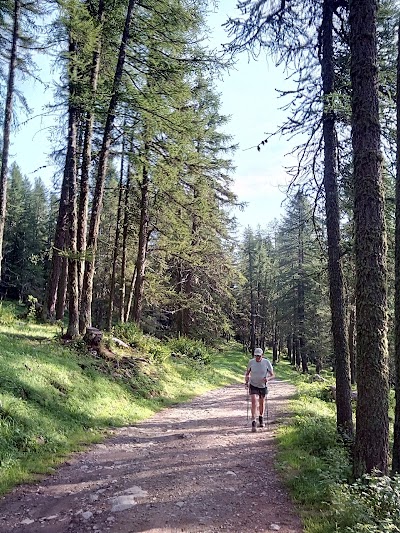 Bosco delle Navette