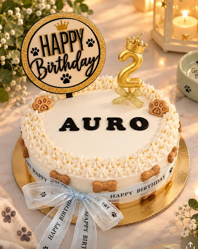 DCC – Dog Cake Carnivals | Custom & Premium Pet Cakes in Chandigarh Tricity post image