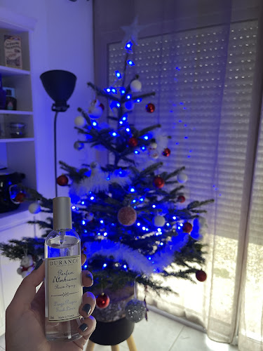 AU BOIS FLEURY - Avignon