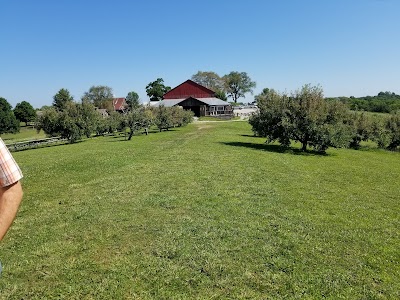 Photos of Weston Red Barn Farm