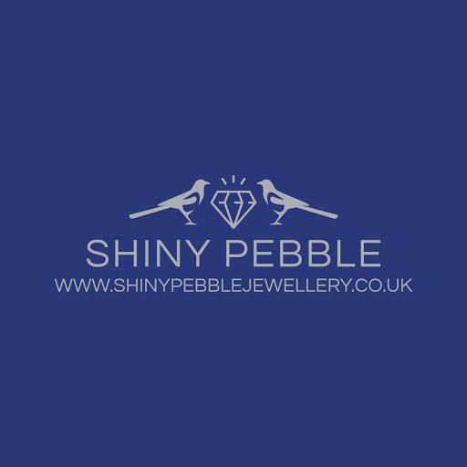 The Shiny Pebble