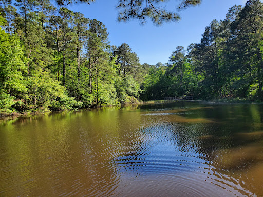 Logoly State Park - Thumbnail