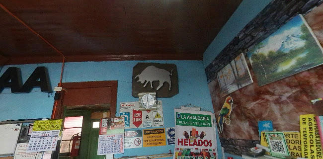 Letreros Publicitarios Rancagua LUZ & COLOR