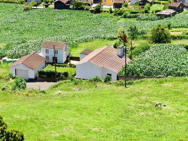 Miradouro de Água Retorta