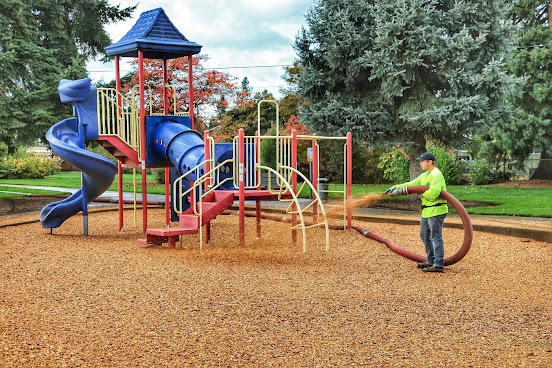 Rexius Landscape by null