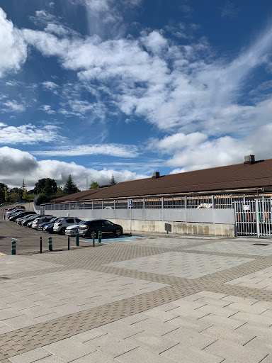Agora Kindergarten and Primary Public School - Thumbnail