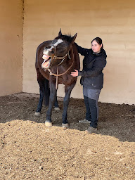 Photo n°1 de GR.OSTEO - ostéopathe animalier, Gabrielle RODRIGUEZ. à Clermont-l'Hérault (Ostéopathe)
