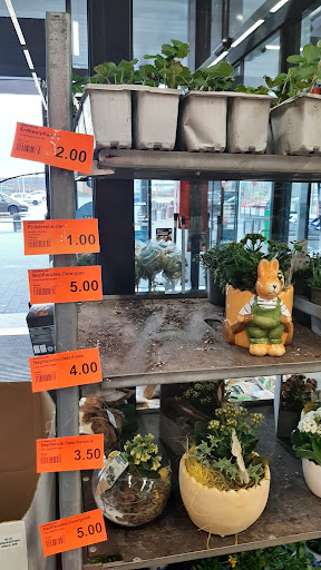ALDI Görlitz - Visual