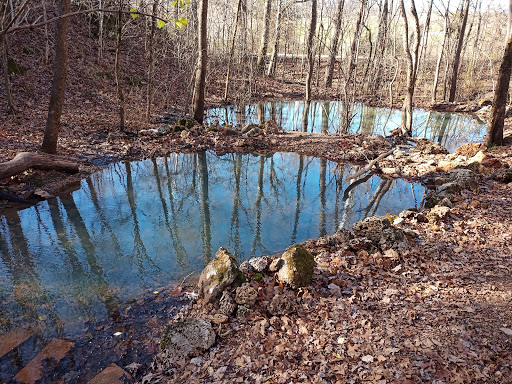 Rattlesnake spring - Visual