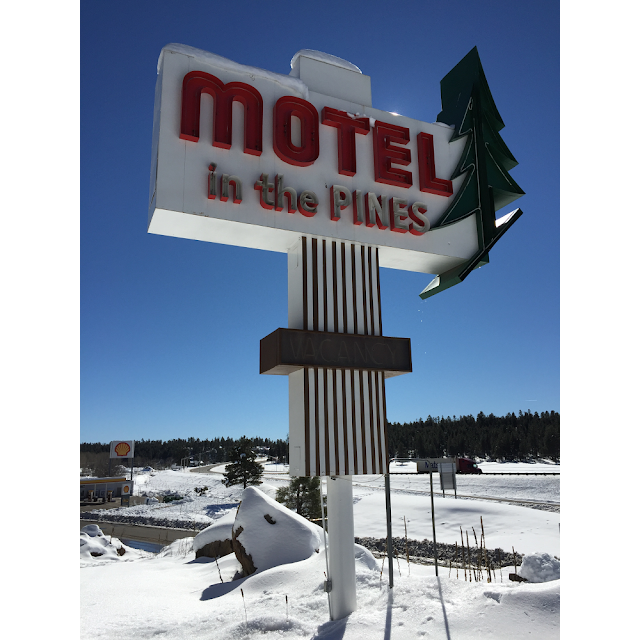Motel In the Pines