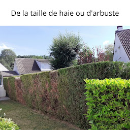 Photo n°2 de service net paysage à Mitry-Mory (Paysagiste)