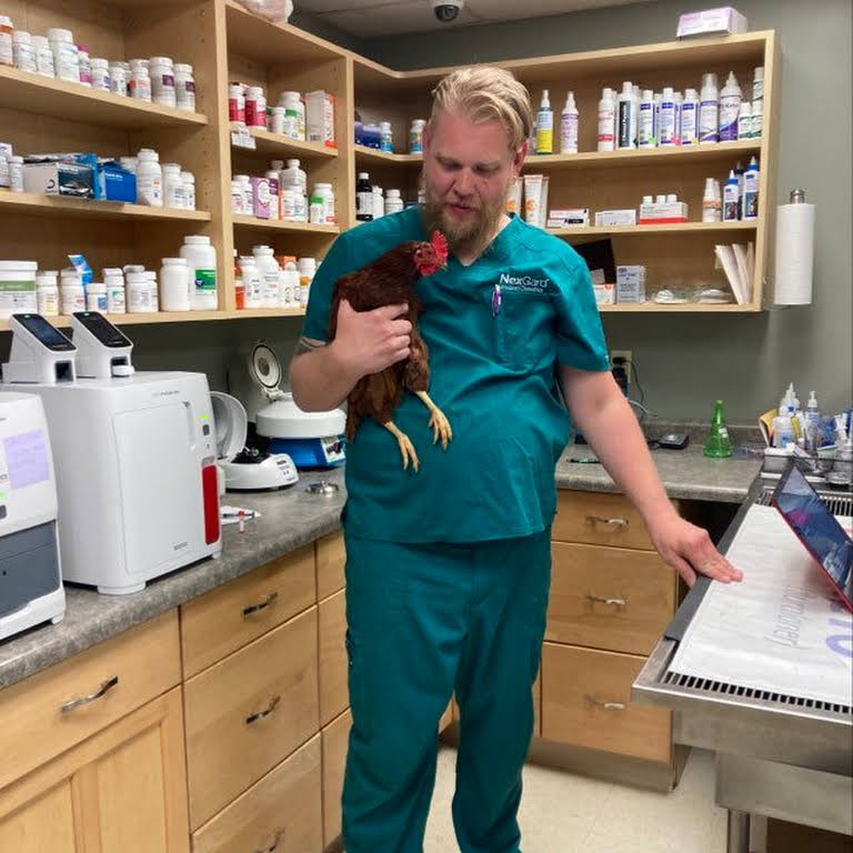 Solid Rock Veterinary Clinic - Veterinarian in Murphysboro