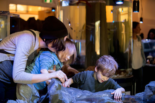 TidePools Aquarium