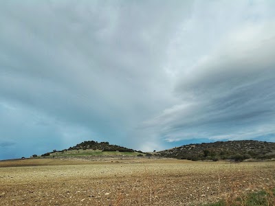 Photos of Apicoltura Laterza
