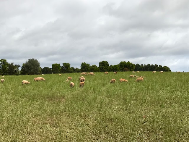 Mount Gnomon Farm