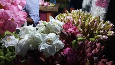 Photos of Ruhunu Maha Kataragama Dewalaya