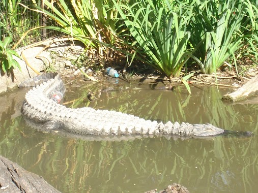 Zoologico De Palermo, Author: Maxi Tondato